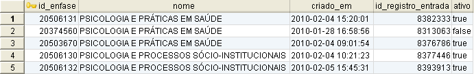 graduacao.enfase_-_exemplo.png